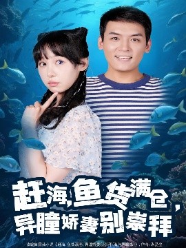 海报背景