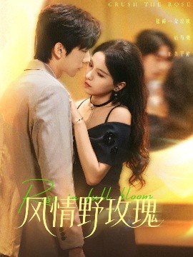 风情野玫瑰 揉碎玫瑰