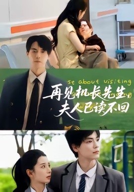 再见机长先生,夫人已读不回