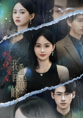 断情绝爱后,我重回巅峰