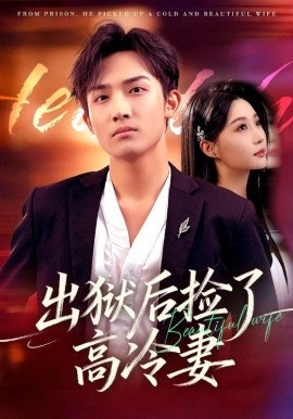 出狱后捡了高冷妻