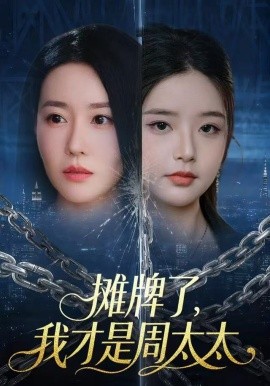 摊牌了我才是周太太