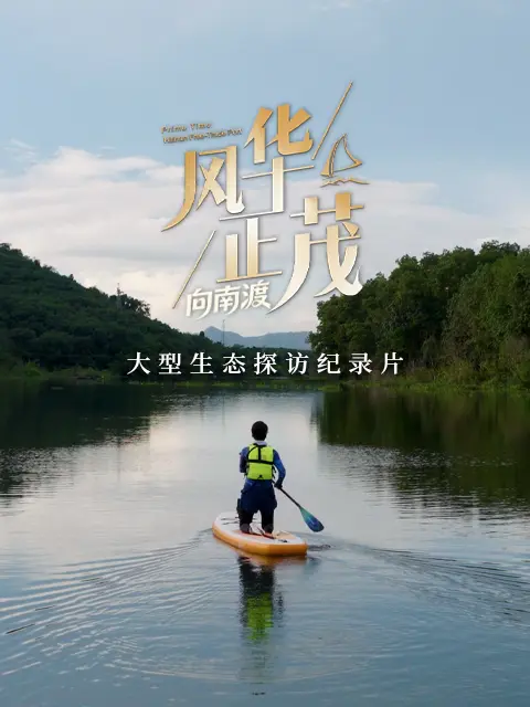 风华正茂第三季封面图