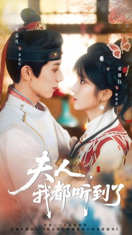 夫人，我都听到了 夫人每天都想被休