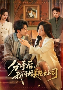 分手后，我闪婚美艳女上司