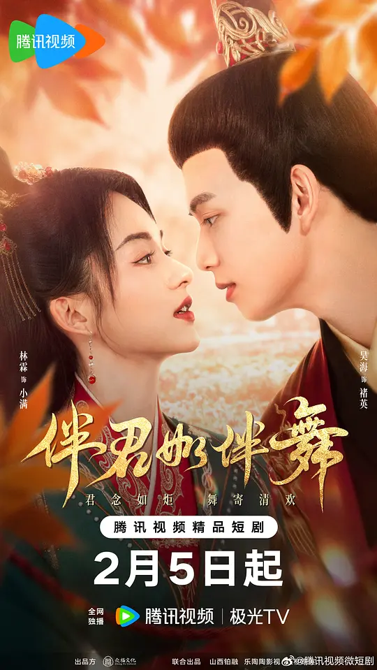 伴君如伴舞封面图