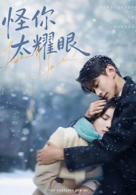 怪你太耀眼海报