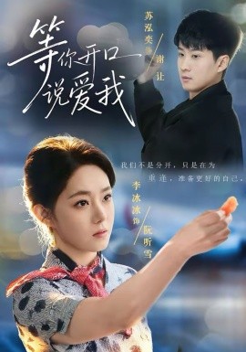 等你开口说爱我