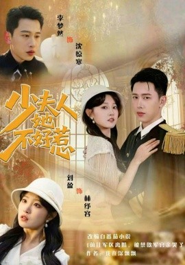 少夫人她不好惹