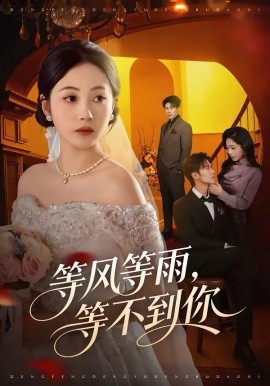 等风等雨等不到你
