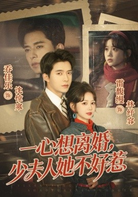 一心想离婚，少夫人她不好惹