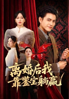 离婚后我靠鉴宝躺赢