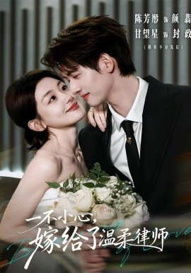 一不小心，嫁给了温柔律师
