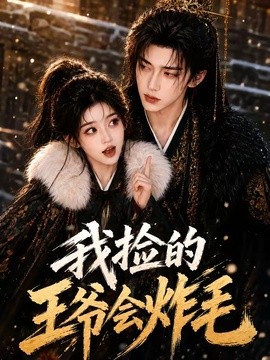 我捡的王爷会炸毛