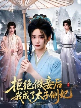 拒绝做妾后我成了太子侧妃 一纸离人愁