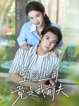 空降上司竟是我前夫海报