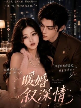 暖婚叙深情海报