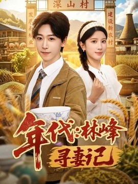 年代：林峰寻妻记