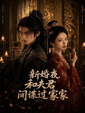 新婚夜和夫君间谍过家家
