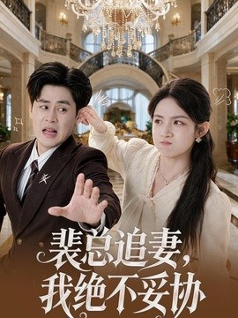 裴总追妻,我绝不妥协