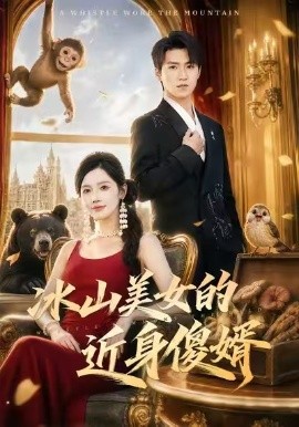 冰山美女的近身傻婿