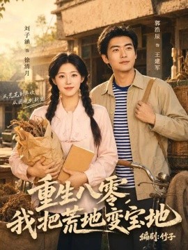重生八零，我把荒地变宝地