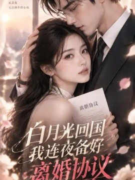 白月光回国我连夜备好离婚协议