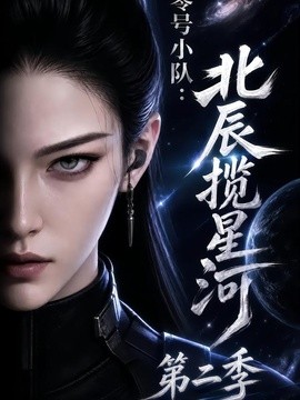 零号小队：北辰揽星河第二季