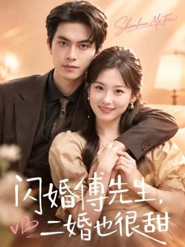 闪婚傅先生，二婚也很甜