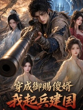 穿成御赐傻婿我起兵建国