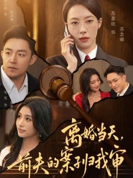离婚当天，前夫的案子归我审