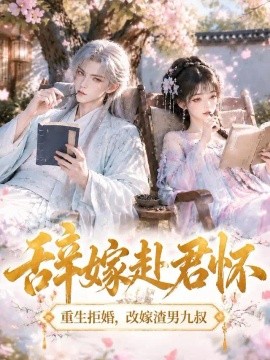 辞嫁赴君怀封面图