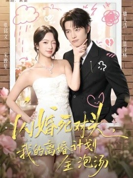 闪婚死对头，我的离婚计划全泡汤封面图