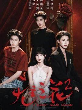 无主之花2封面图