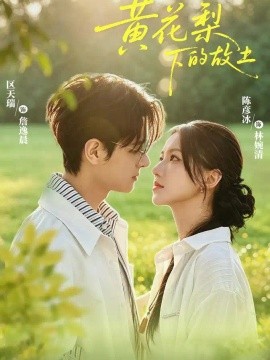 黄花梨下的故土海报