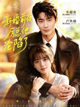 新婚前夜，厉总他沦陷了