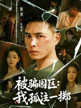 被骗园区：我孤注一掷 我被骗到缅北的那些年